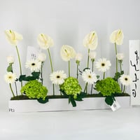 12673 - Image 2