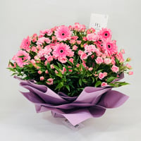 10822-401 - صورة 1