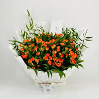 10404-298 - صورة 1
