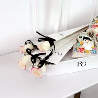 17261 - صورة 2