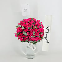 13959 - صورة 1