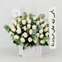 13542 - صورة 1