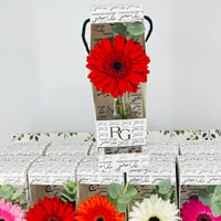 14022 - Image 6