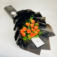 9977-489 - صورة 1