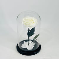 11234 - Image 1