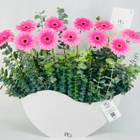 12529-805 - صورة 3