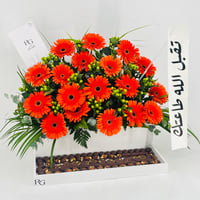 12772 - صورة 2