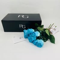 9399 - صورة 2