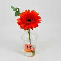 10798-738 - Image 1
