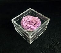 2099-85 - صورة 1
