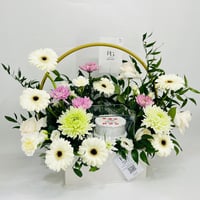 10955-441 - Image 1
