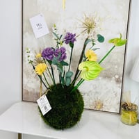 16122 - Image 3