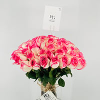 13269 - Image 4