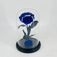 11274 - Image 1