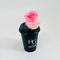 10819 - صورة 2
