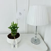 Bamboo Plant No.18012 - Image 1