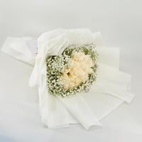 13188 - Image 1