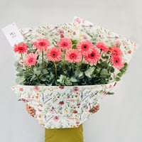 14156 - صورة 2
