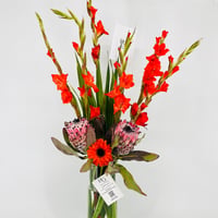 14528 - صورة 2