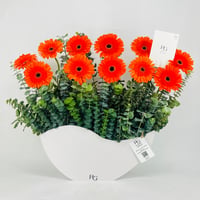 12527 - صورة 1