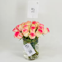 10230 - Image 3