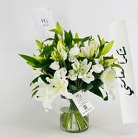 13916 - صورة 2