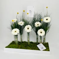 10733 - صورة 3