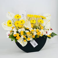 9137-56 - صورة 2