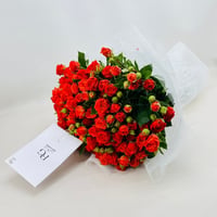 548-01 - صورة 2