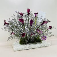 7672 - صورة 2