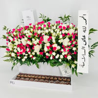 13427 - صورة 3