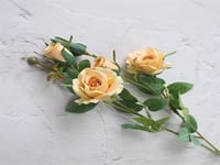 4311 - Image 1
