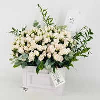 13698 - صورة 2