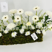 12949 - Image 4