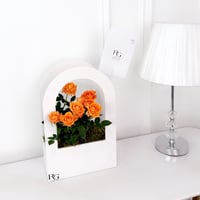 18194 - Image 1