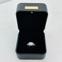 18513 - Image 1