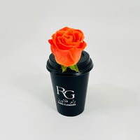 10817 - صورة 3