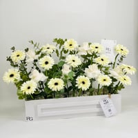 9931-824 - صورة 2