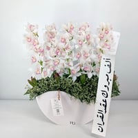 16539 - صورة 1