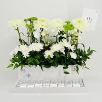 9802-592 - صورة 3