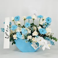 13487 - صورة 1
