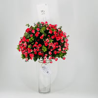 8591-495 - صورة 3