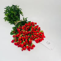 8497-218 - صورة 1