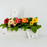 14522 - Image 3