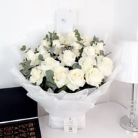 17808 - Image 2