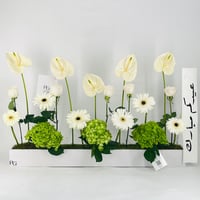 12673 - Image 1