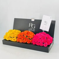 5829-797 - صورة 3