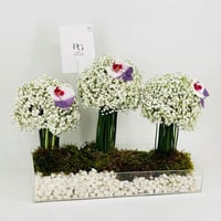 9219-11 - صورة 2