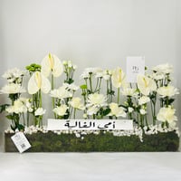 11878 - Image 1