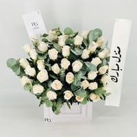 13543 - صورة 3